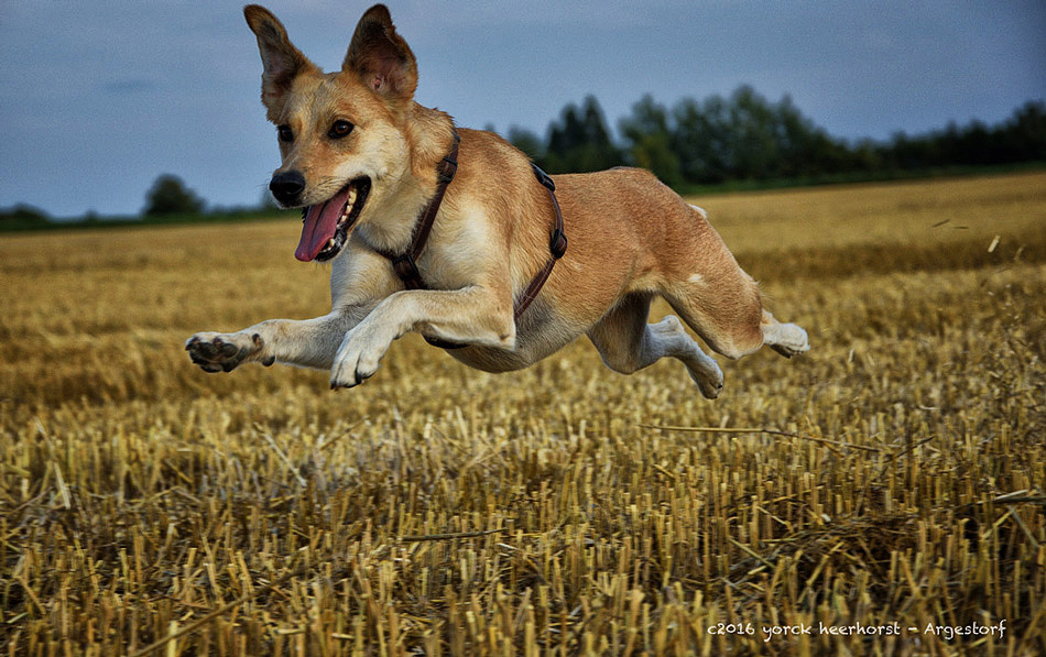 20160819 0022 Maggie Stoppelfeld