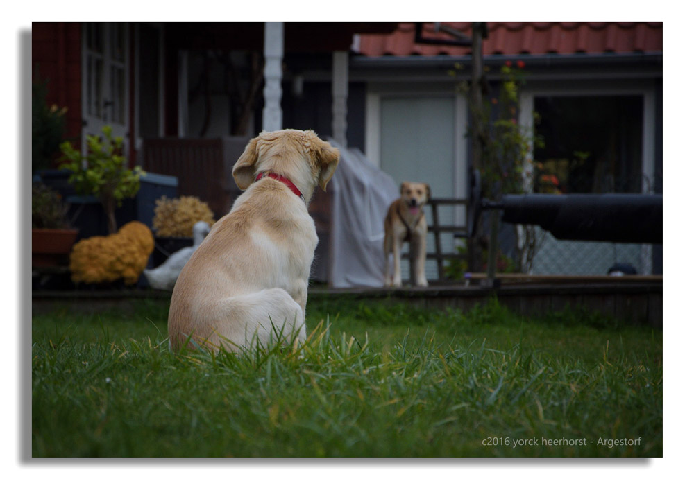 20161014 0114 Brexit Maggie