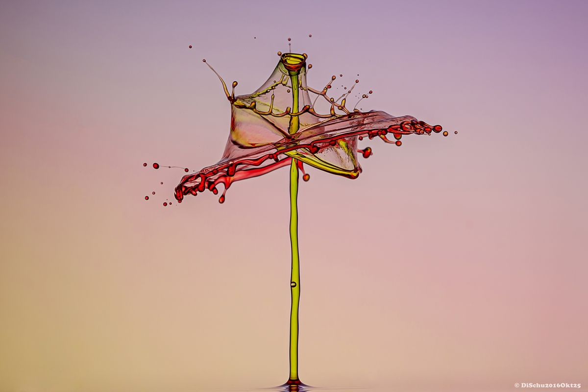 20161025 DSC 0107nc