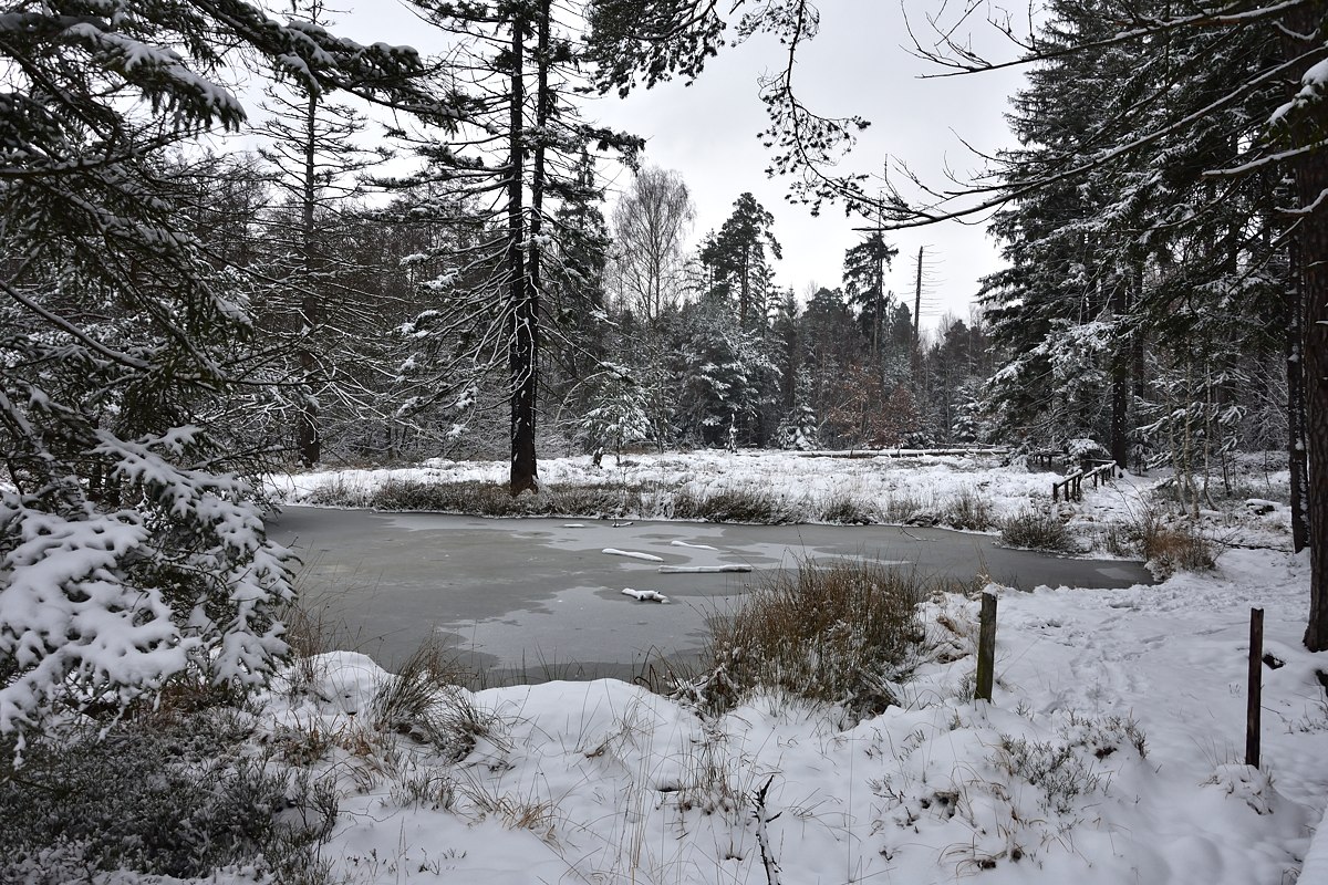 2017 24847