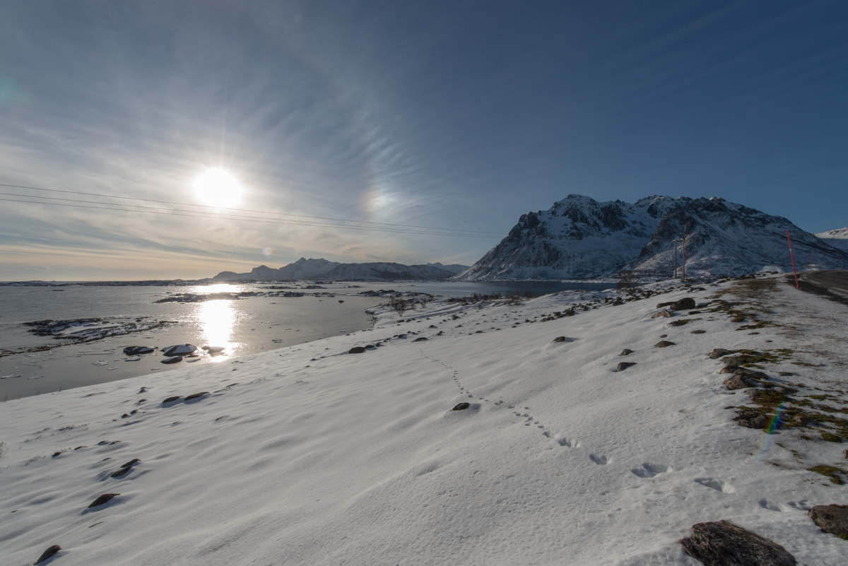 2017 Lofoten Reisebericht 10