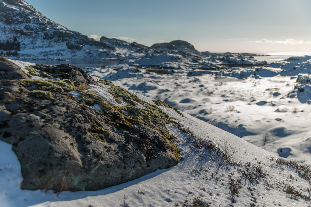 2017 Lofoten Reisebericht 128