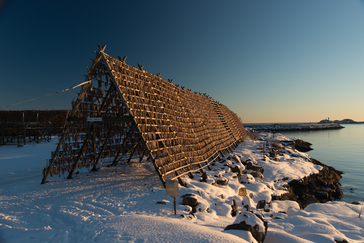2017 Lofoten Reisebericht 192