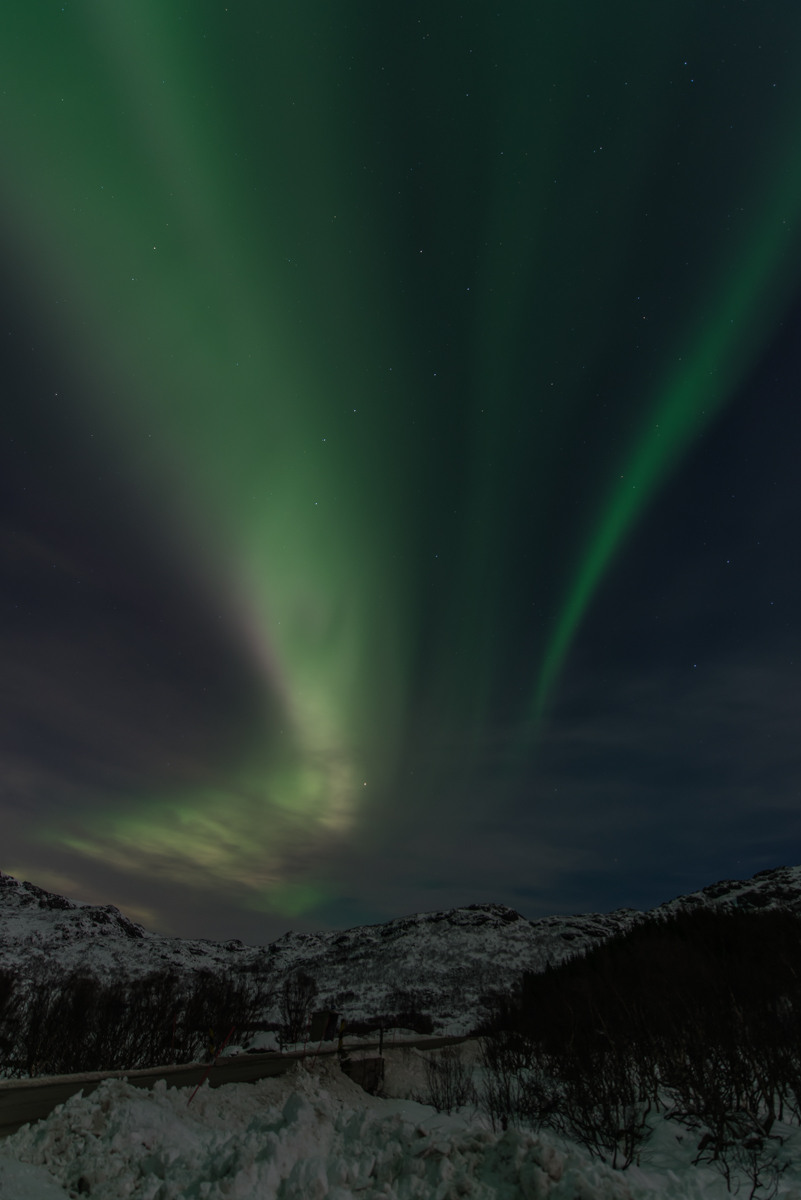2017 Lofoten Reisebericht 225