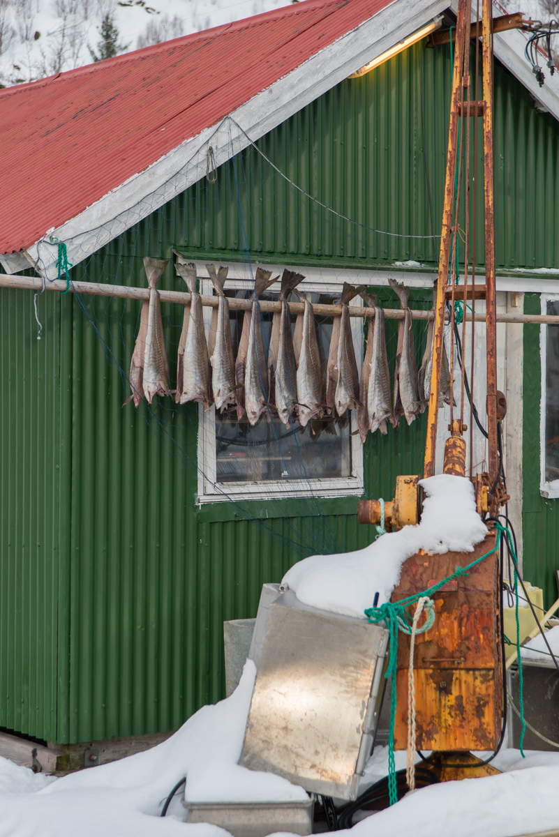 2017 Lofoten Reisebericht 33