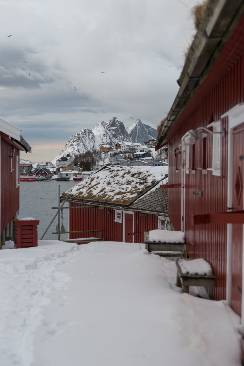 2017 Lofoten Reisebericht 59