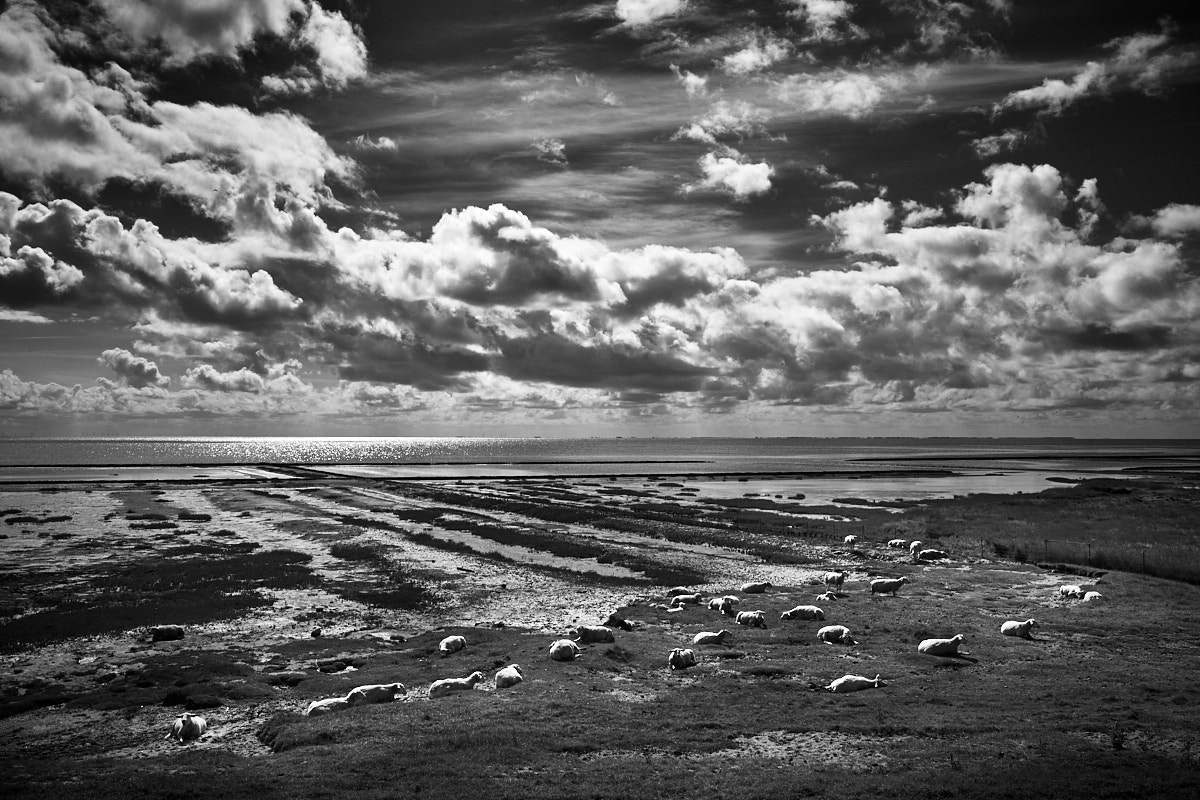 2017 Sylt 3