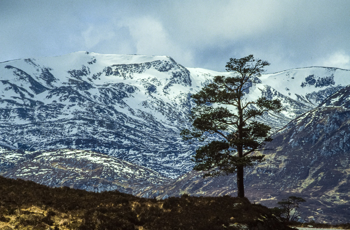 20170114-Schottland_1992_094.jpg