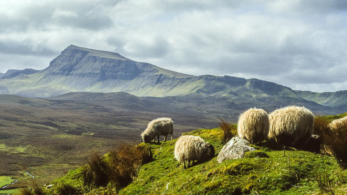 20170116-Schottland_1992_150.jpg