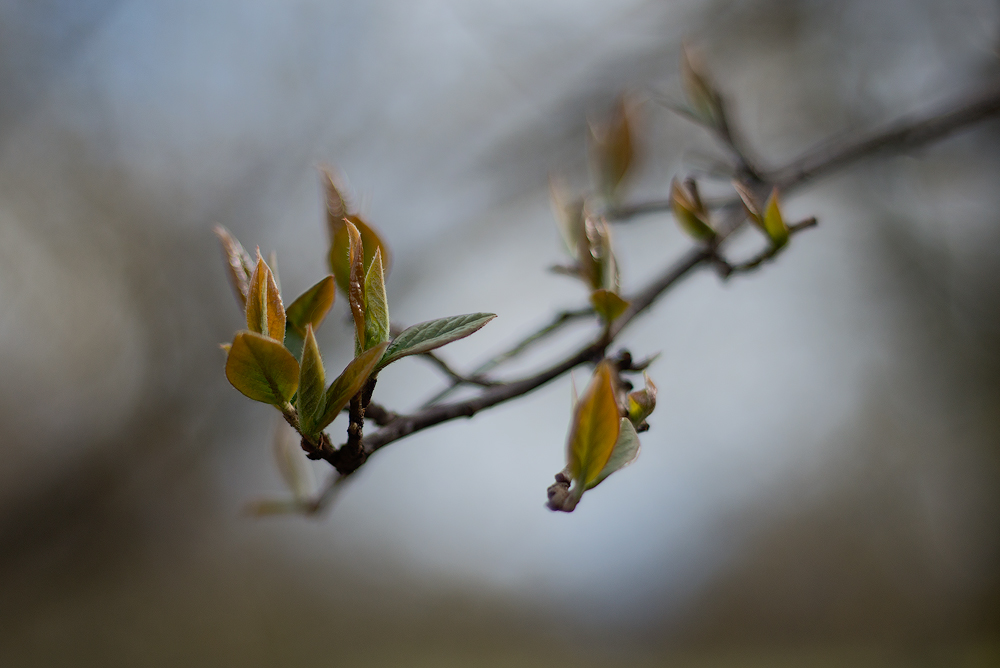 20170305 121716 a Kopie