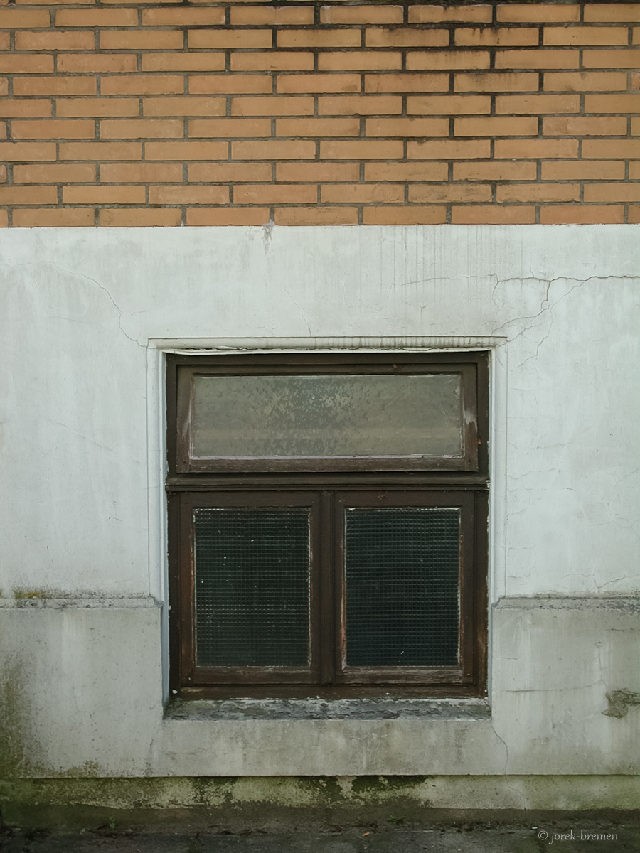 20170312-006.jpg