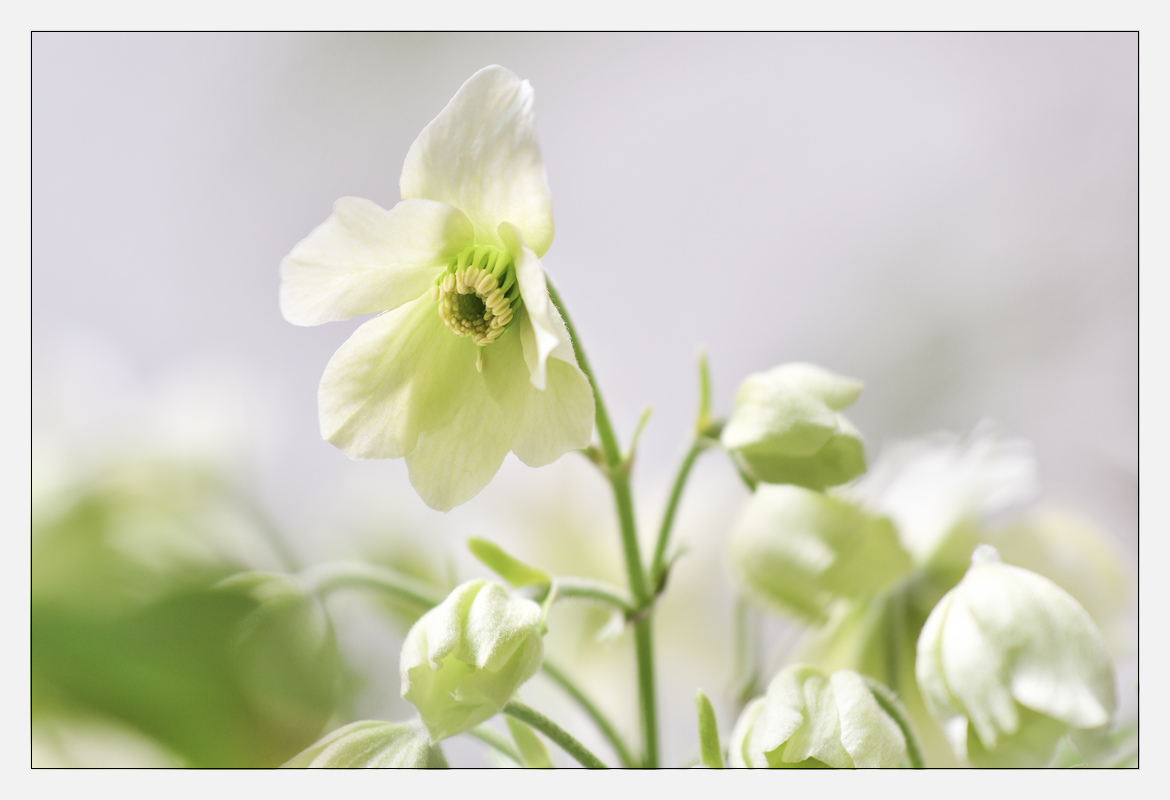 20170409 DSC 2977