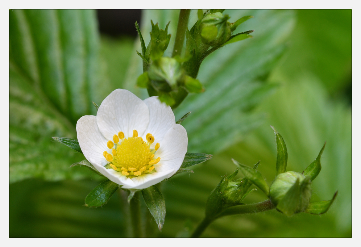 20170424 DSC 3832