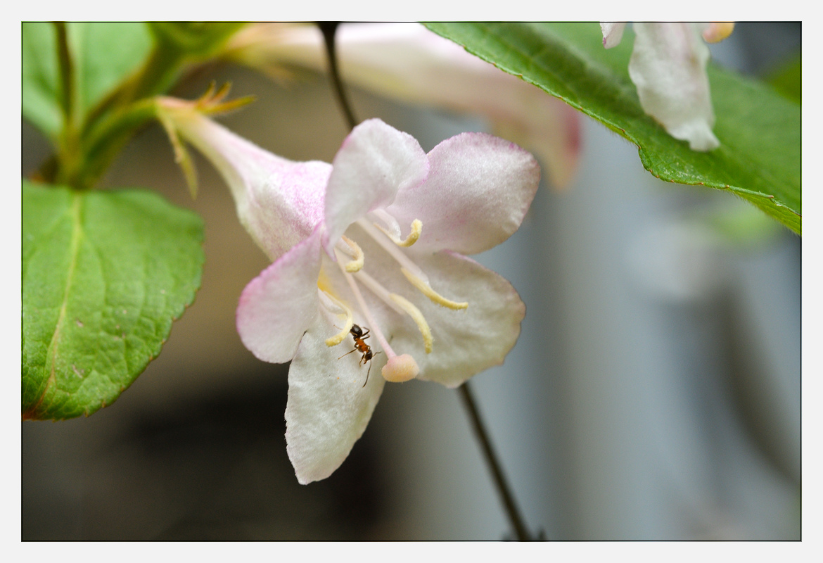 20170508 DSC 4395
