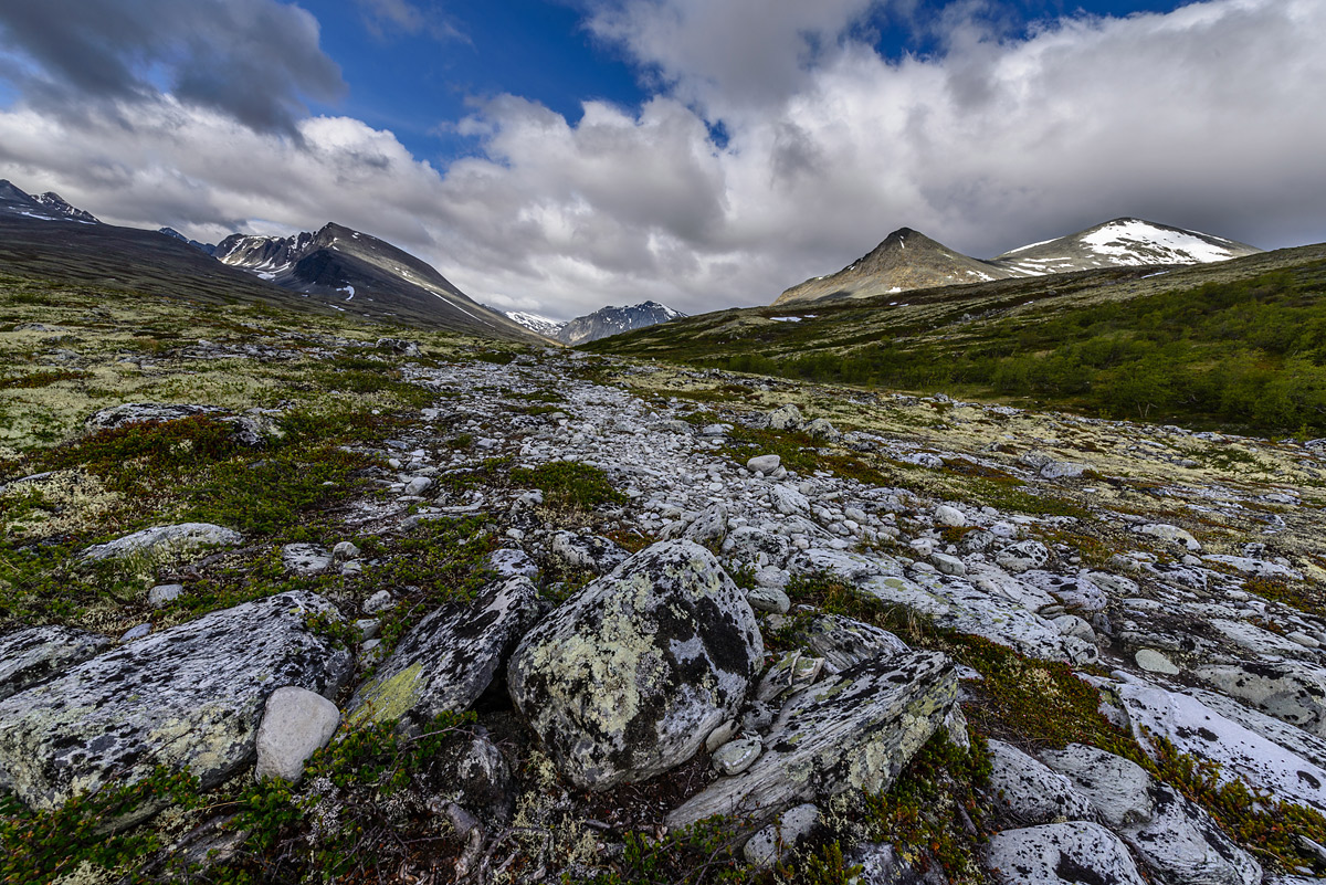 20170621 085132 norwegen nff