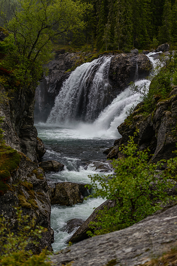 20170625 131604 norwegen nff
