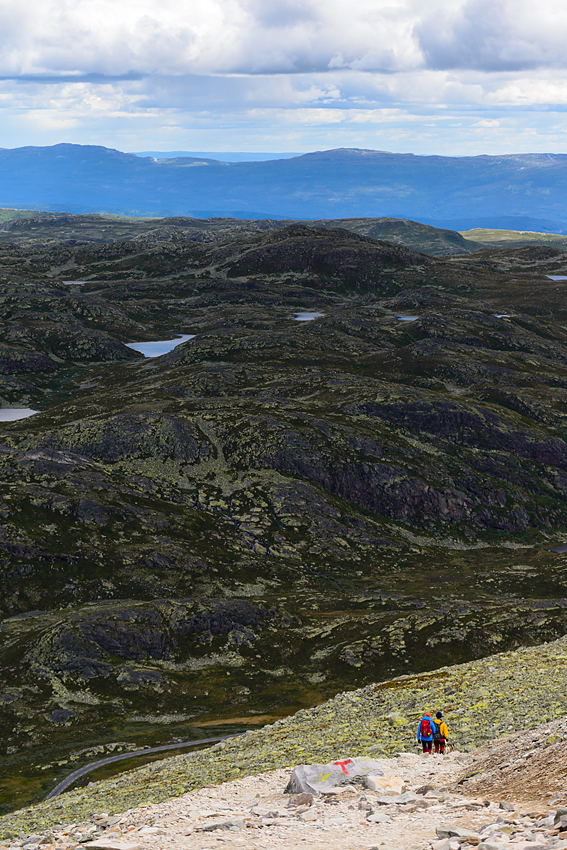 20170626 120834 norwegen nff