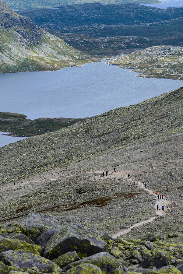 20170626 122423 norwegen nff