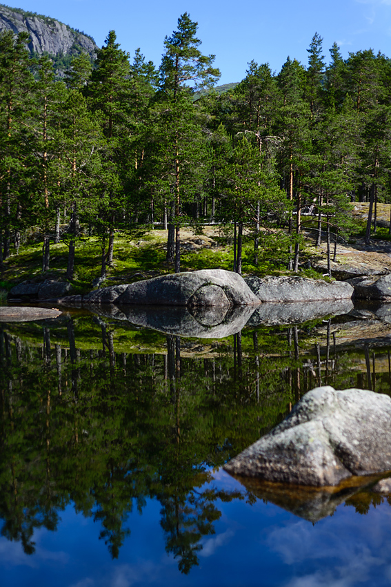 20170627 104135 norwegen nff