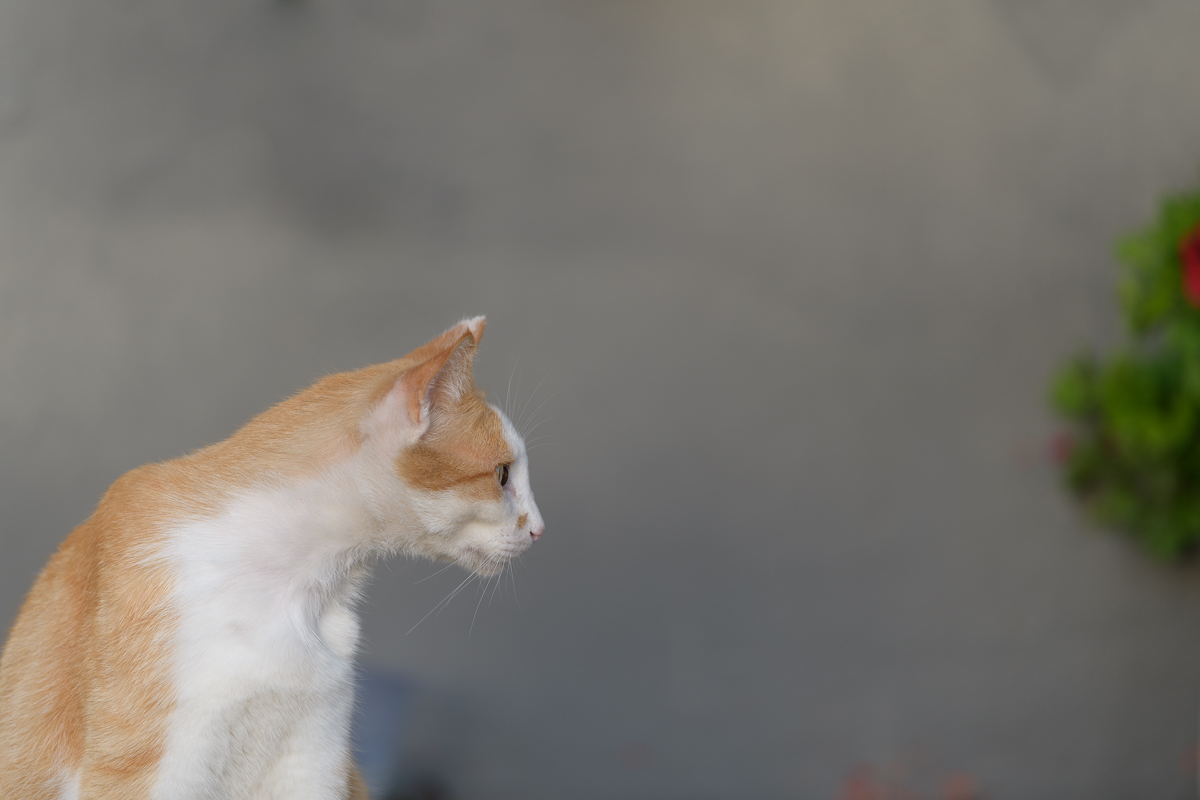 2018 02 22 18 19 45 DSC 2191