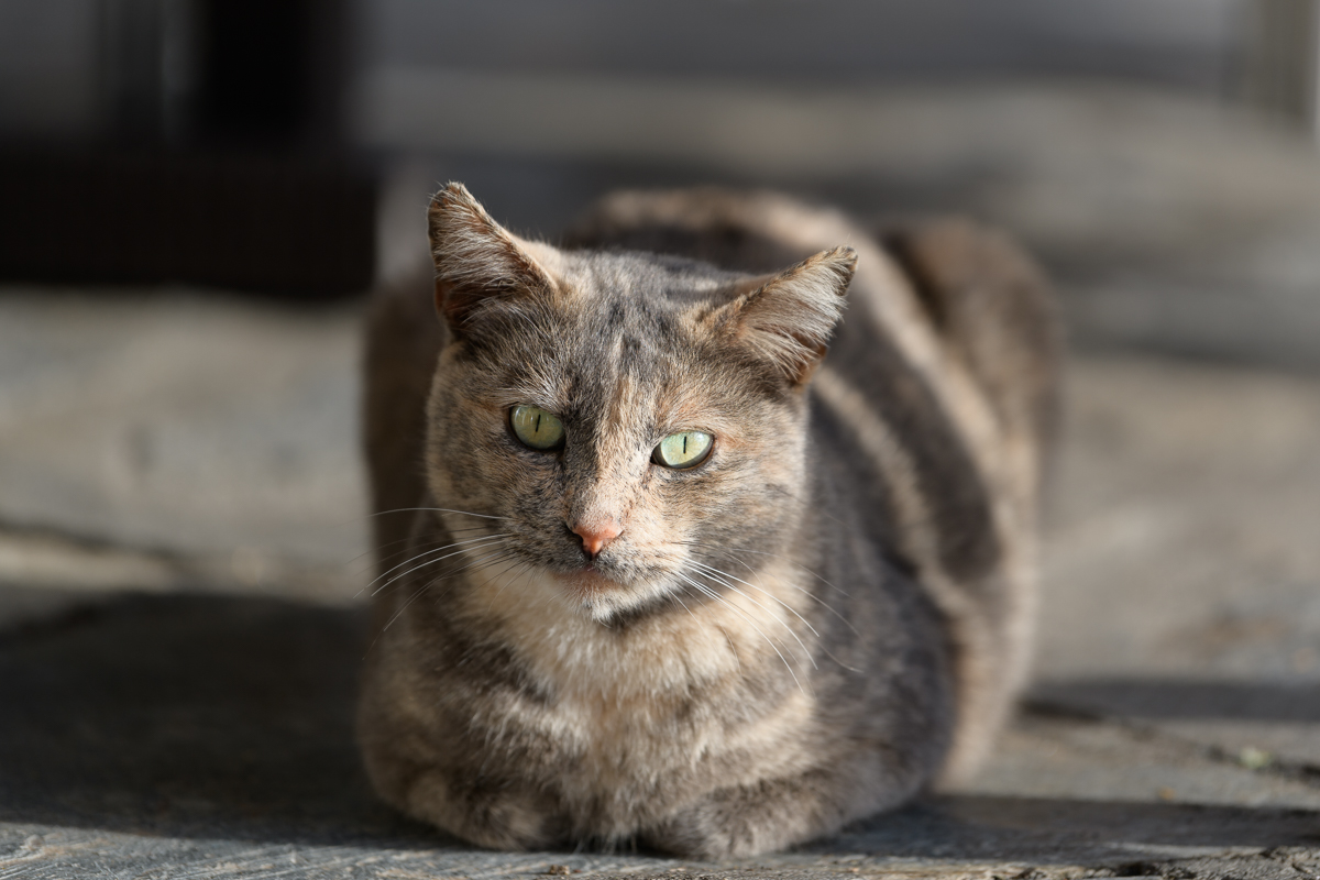 2018 02 23 17 46 35 DSC 2311