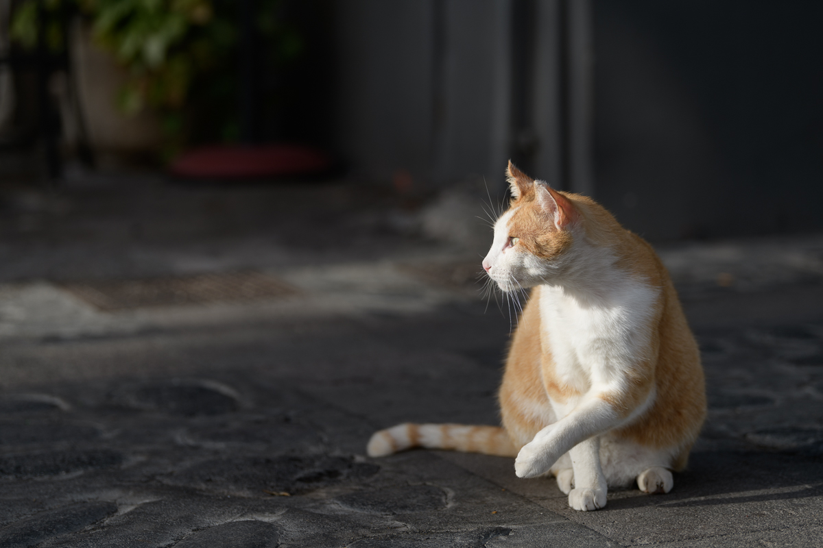 2018 02 23 17 51 41 DSC 2325
