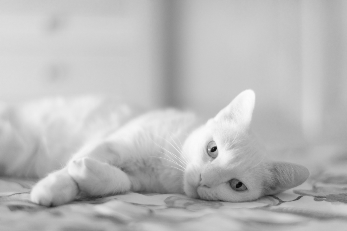 2018 09 27 12 34 04 DSC 7346