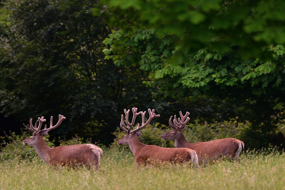 2018 09975