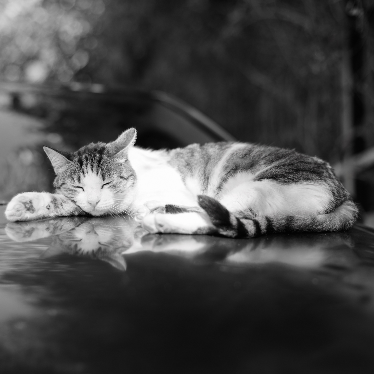2018 10 17 15 21 20 DSC 0858
