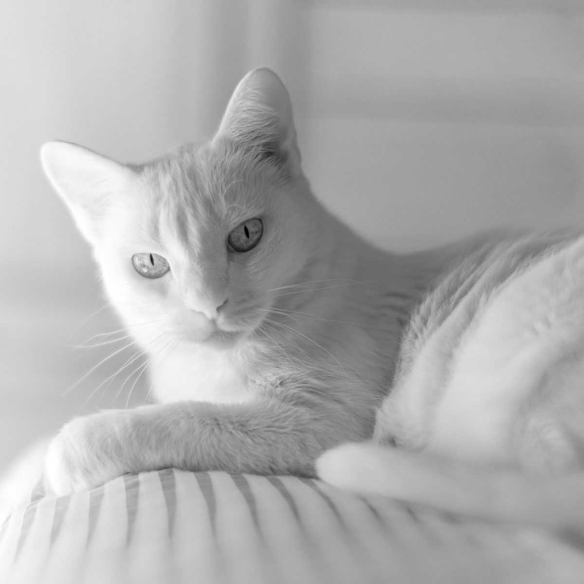 2018 10 17 16 01 03 DSC 0875