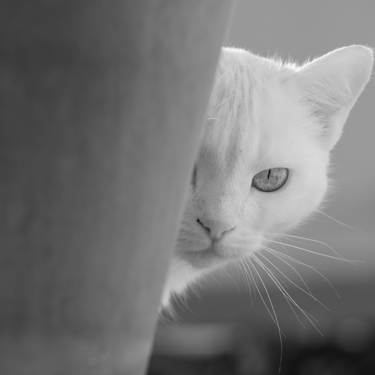 2018 12 03 16 25 15 DSC 3229