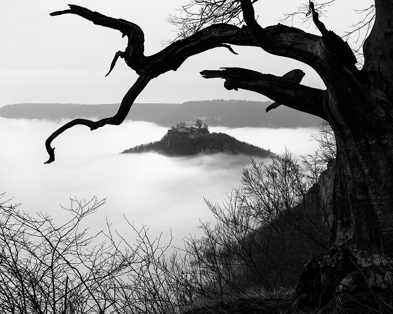 20180107 102131 nebel alb