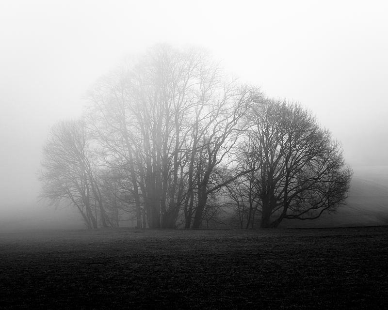 20180107 113125 nebel alb
