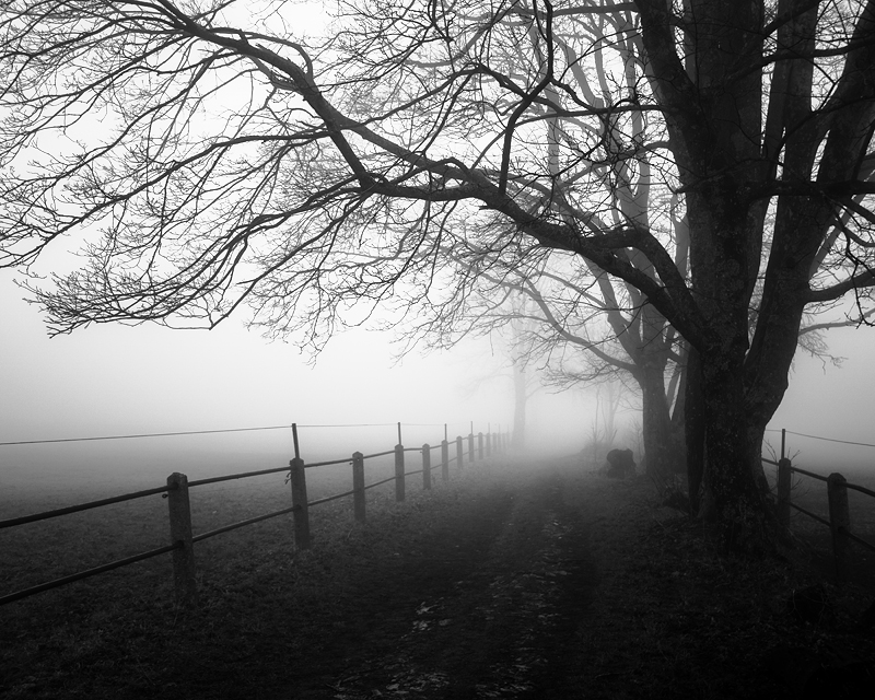20180107 130454 nebel alb 4