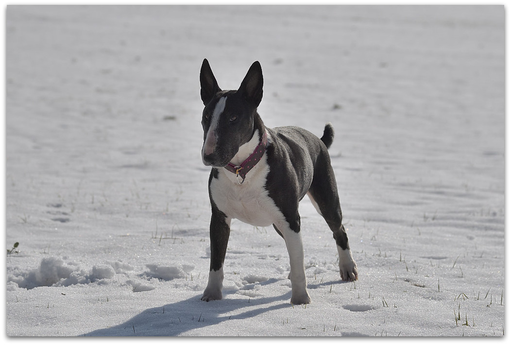 20180218 Wald 0055
D5 + 24-120/4,0