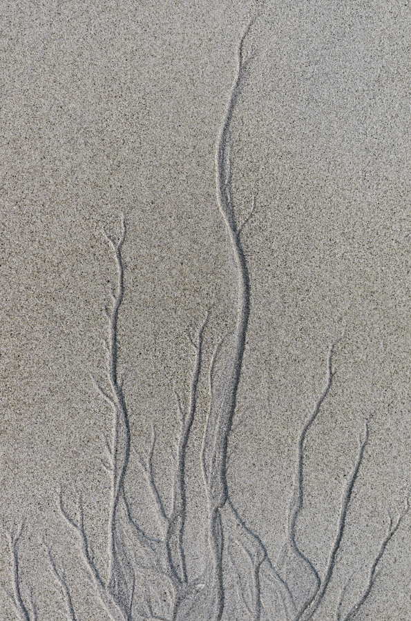 20181012 104501 norwegen 2018 sand
