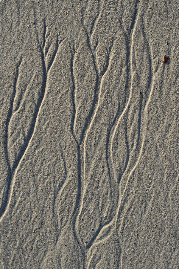 20181012 110400 norwegen 2018 sand