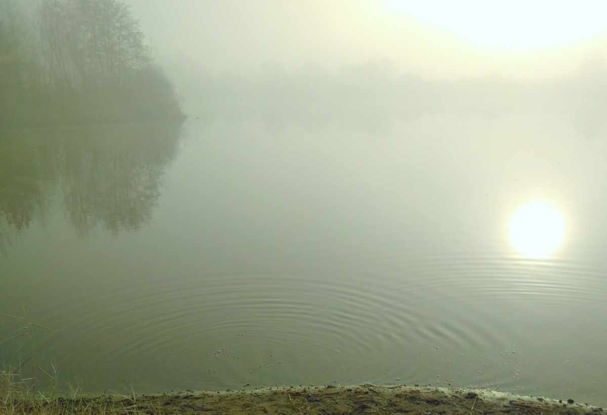 2019-02-17_09-06-19_FP2_1200.jpg