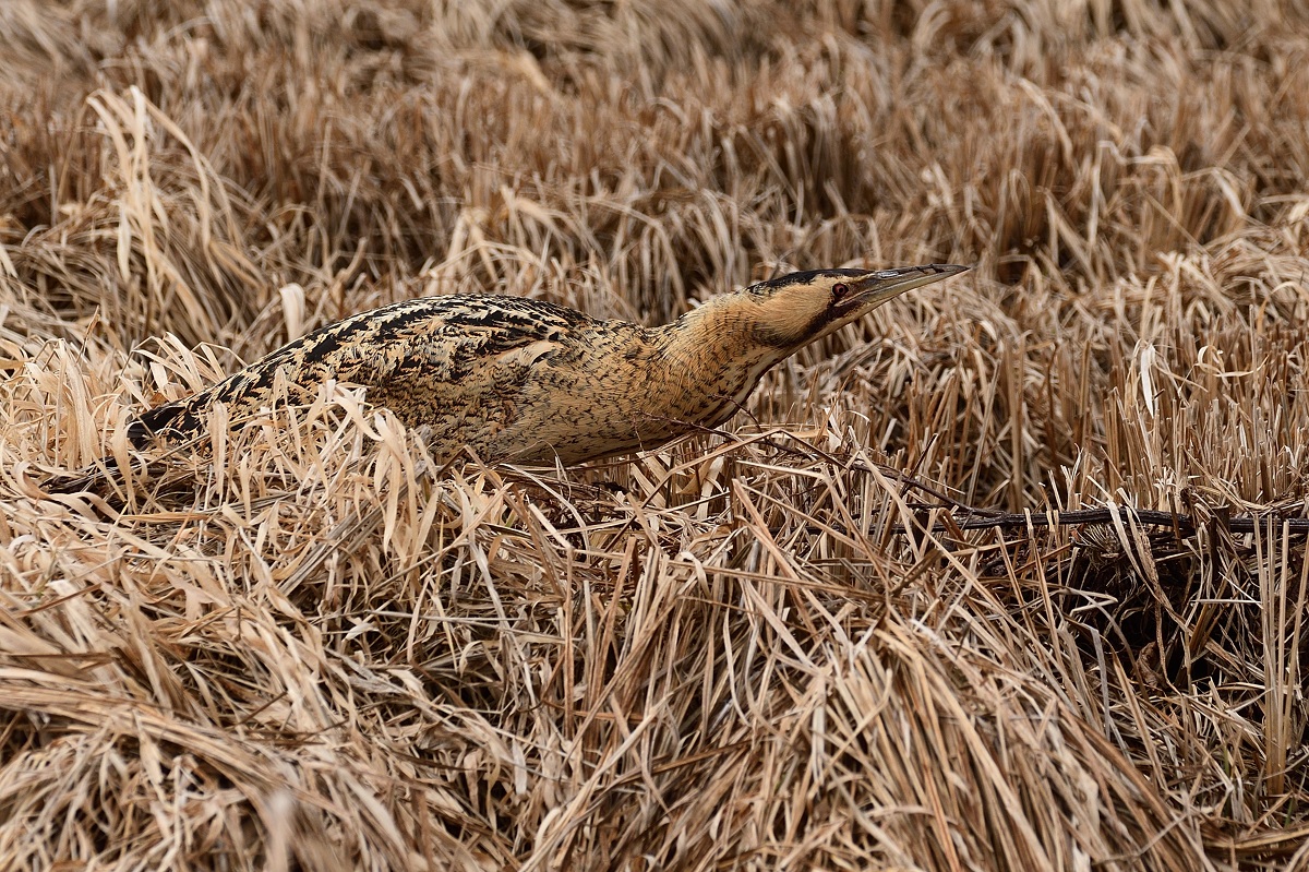 2019 03579