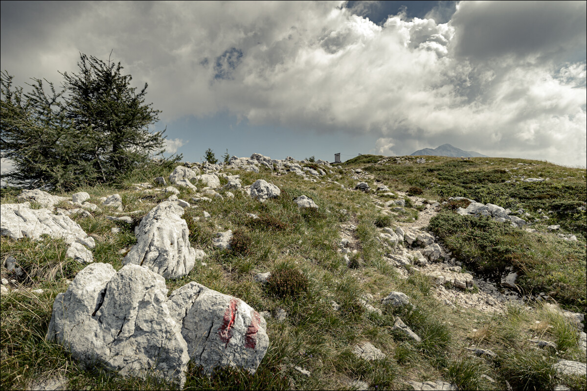 2019-07-16_Gardasee_034.jpg