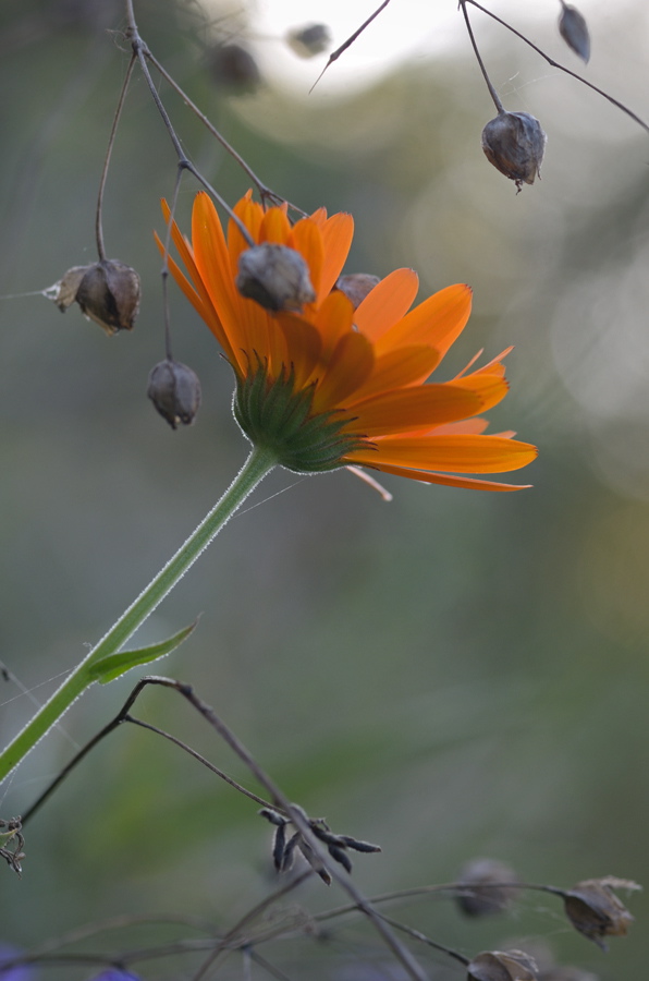 201900herbst