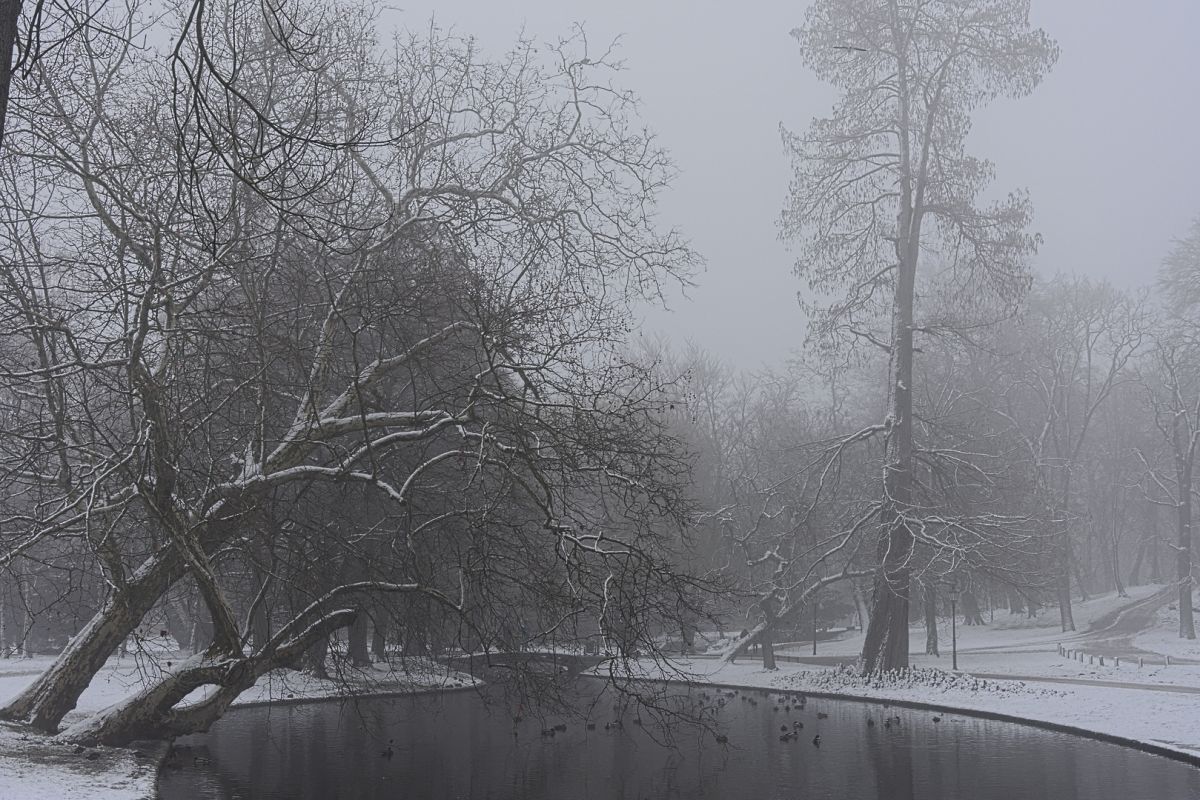 20190120 Schlossgarten 72D3975 1200