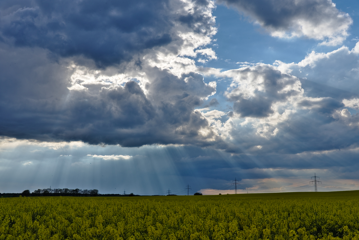 20190427_75D1594_1200.jpg