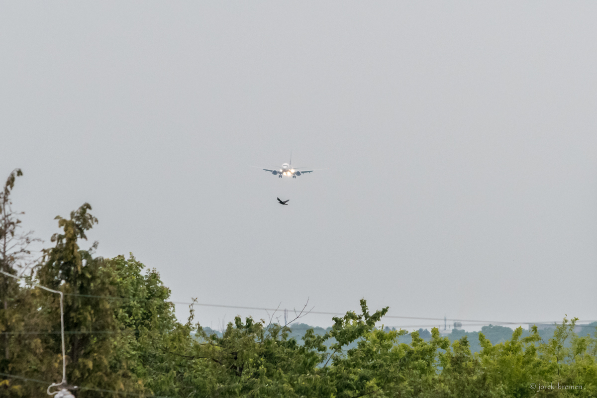 20190517-004.jpg