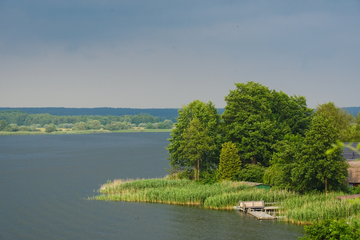 20190615_75D_2964_1200.jpg