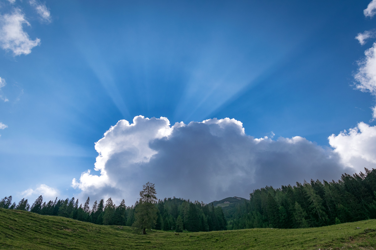 20190704-DSC_6307.jpg