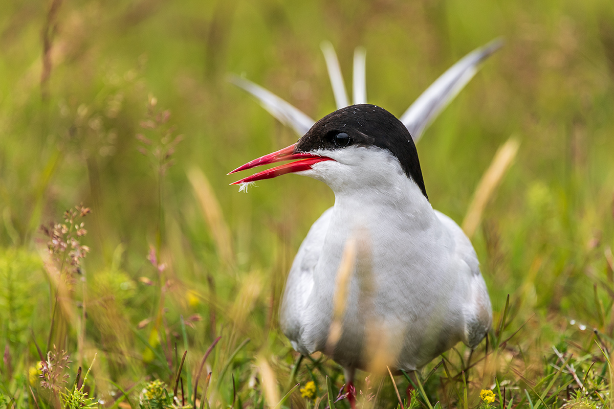 20190716_ND5_4604NF.jpg