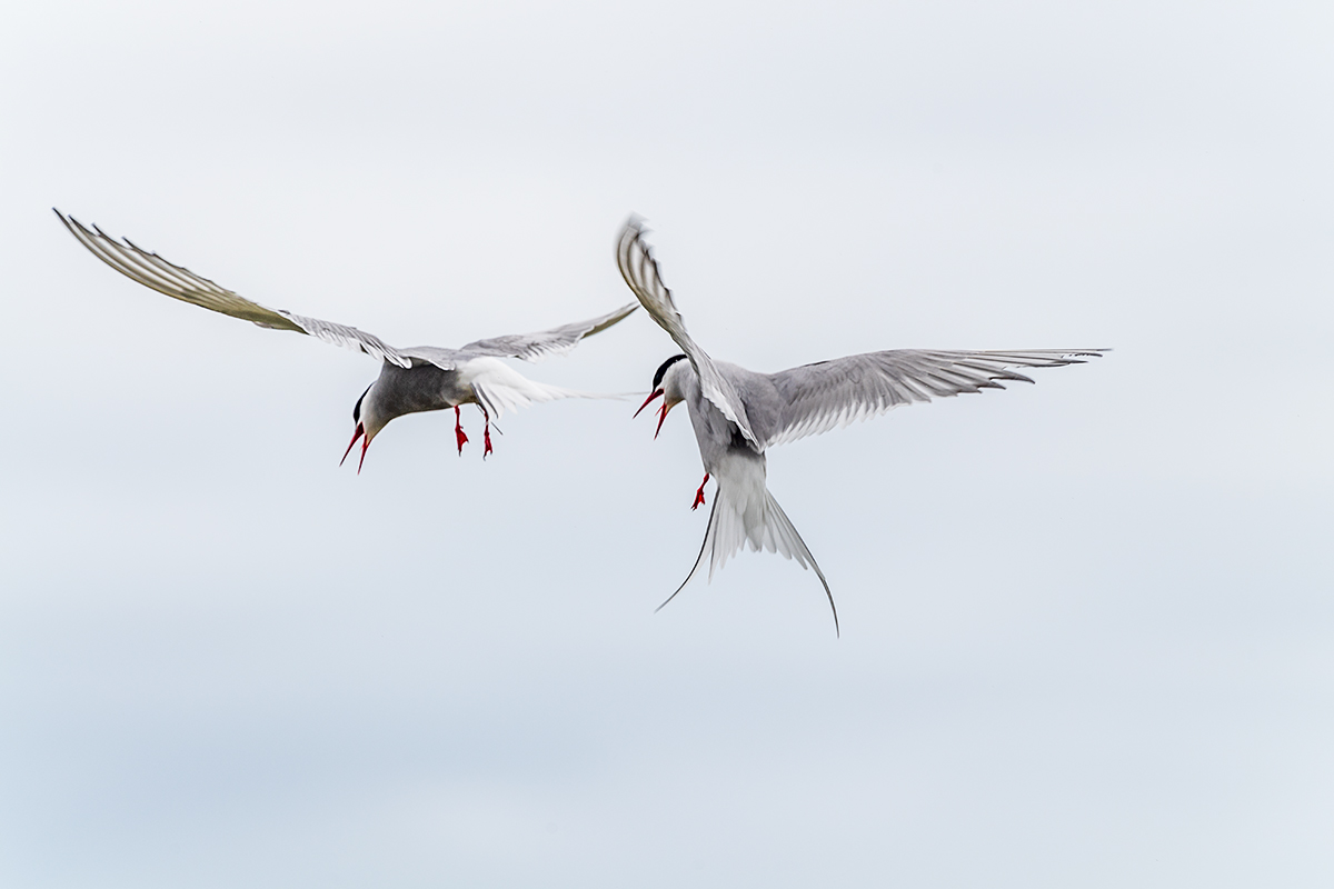 20190716_ND5_4652NF.jpg