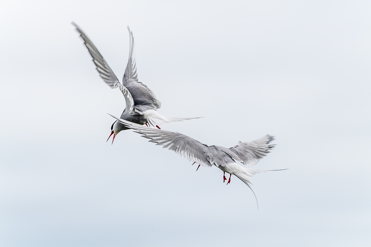 20190716_ND5_4655NF.jpg