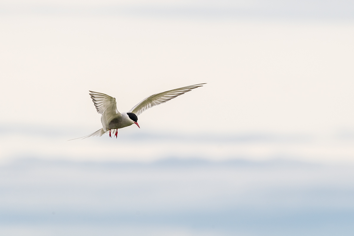 20190716_ND5_4750NF.jpg